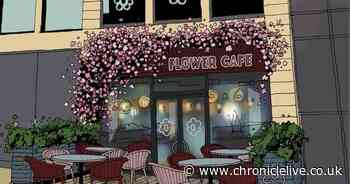 Flower Cafe in Sunderland given go-ahead by council planners after 'quirky' designs submitted