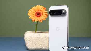 Best Google Pixel Phone to Buy in 2024