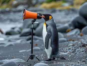 3 Must-Follow Rules for Customer Feedback Before Launch