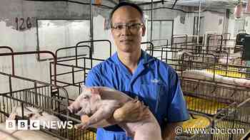 When vets are scarce what can farmers do?