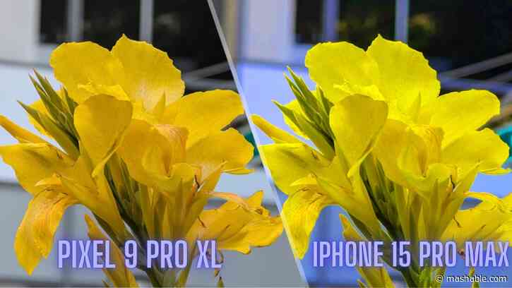 I blind-tested 7 iPhone stans on which takes better pics: Pixel 9 Pro XL or iPhone 15 Pro Max