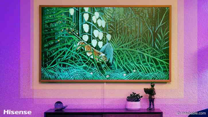 The Hisense CanvasTV is the ultimate space-saver with a touch of art