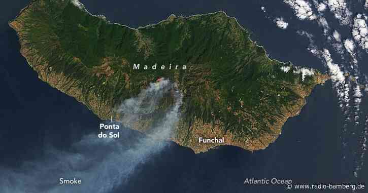 Waldbrand auf Madeira unter Kontrolle