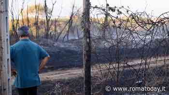 Incendio Torre Spaccata, Gualtieri sul luogo del rogo: "È doloso". Trovati candelotti sospetti
