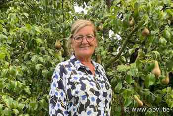 Marie-Rose Schops opnieuw lijsttrekker voor N-VA in Nieuwerkerken