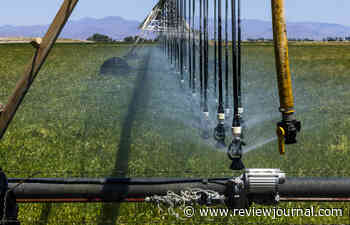 5 proposed bills to watch on water, the environment in Nevada