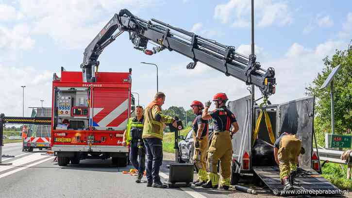 Paard zakt door trailer en overlijdt op de snelweg: 'Bizar'
