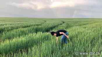 How Canadian researchers are trying to win the battle against a stubborn wheat disease