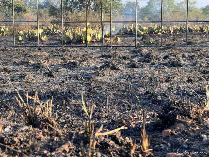 Mason County wildfire ignited by lightning, forest service says; 4,300 acres burned and 80% contained
