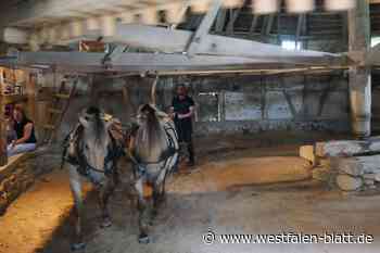 Rossmühle in Oberbauerschaft öffnet ihre Pforten