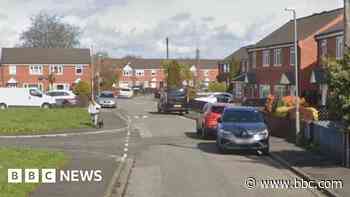 Appeal over death of kittens found in street