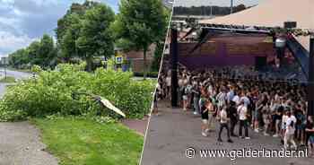 Zo zag code oranje eruit in Oost-Nederland: veel bomen en takken op de weg en festivalgangers die dekking zoeken