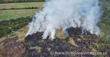 Major grass fire destroys 12 acres of land in local park