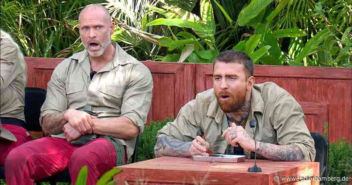 Vogelspinne in Gelantine und Kuh-Urin für Dschungel-Stars