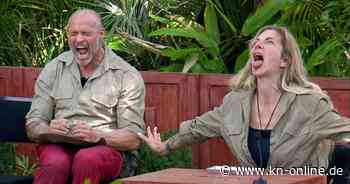 Dschungelcamp, Tag 10: Thorsten Legat trinkt Kuh-Urin, die Stimmung bleibt mies