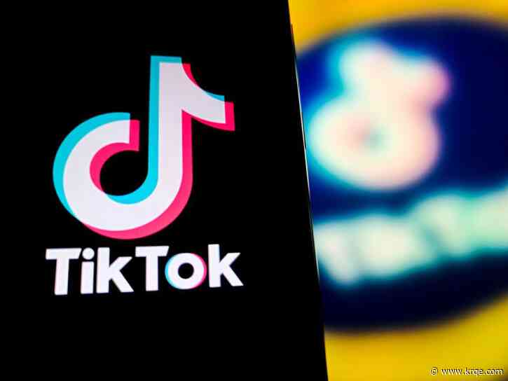 TikTok reveals its biggest 'Songs of the Summer': Which tunes topped the list?