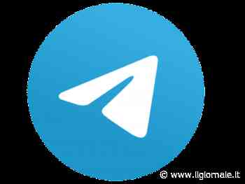 Telegram, arrestato il fondatore e amministratore Pavel Durov