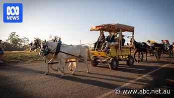 Broken leg and all, wagon riders recreate history on Queensland's famed Cobb & Co trail