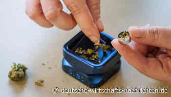 Cannabis auf Rezept: Zwischen Boom und Bürokratie