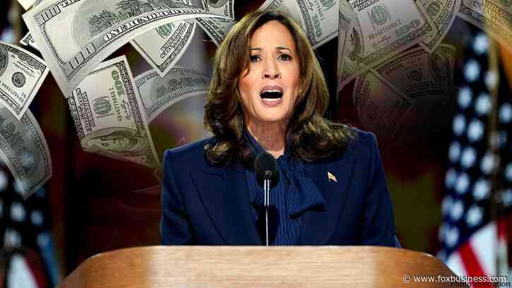 Experts react to Harris' plan to tax unrealized capital gains: 'Voodoo economics'