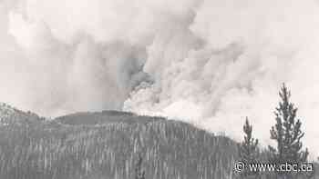 Jasper used to burn often. Why did that change when it became a national park?