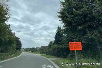 Gemeente herstelt waterafvoersystemen in Molenstraat: “Zware regenval veroorzaakt nu problemen”