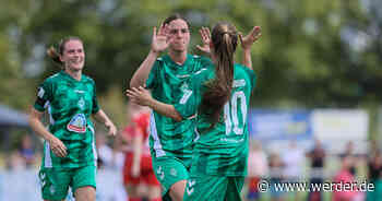 Schmidt kontert Ziemer