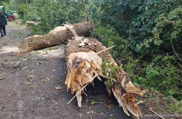 FW-LK Leer: Ein kurzes Gewitter, Sturmböen, eine Windhose und jede Menge Arbeit für die Feuerwehr