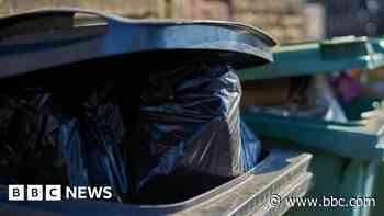 Bin collection delays warning as strike continues