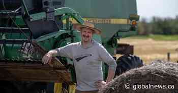 ‘Definitely dissuasive’: Skyrocketing farmland prices a struggle for young farmers