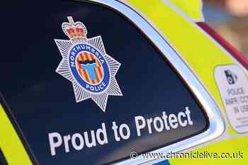 Missing Wallsend teenager is found safe and well