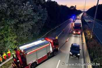Omgewaaide boom dreigt op E313 te vallen in Zandhoven: werken veroorzaken stevige file