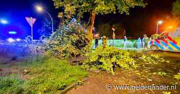Auto raakt van de weg en knalt tegen boom: drie gewonden, grote tak breekt af en valt boven op auto