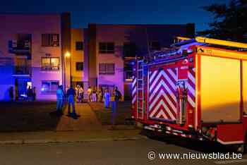 Spelende kinderen zetten wijk in rep en roer