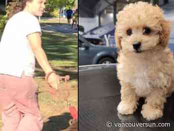 Family of dog mauled to death at Vancouver beach offers reward to help identify owner