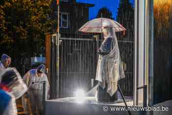 Bloed, zweet en tranen: dit waren de Virga Jessefeesten 2024