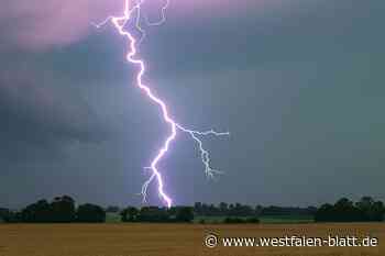 Gewitternacht im Kreis Höxter: Feuerwehr rückt 15 Mal aus