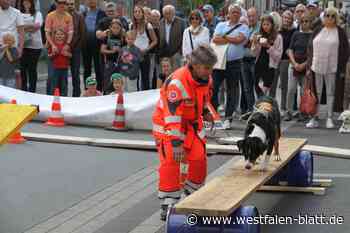 Schlechtes Wetter trübt Freude in Salzkotten nur kurz