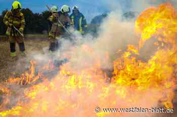 Flammen züngeln auf Stoppelacker: Es ist nur eine Übung