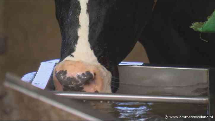 Zeewolde - Waterputten van boeren moeten sluiten, maar een alternatief lijkt er niet te zijn