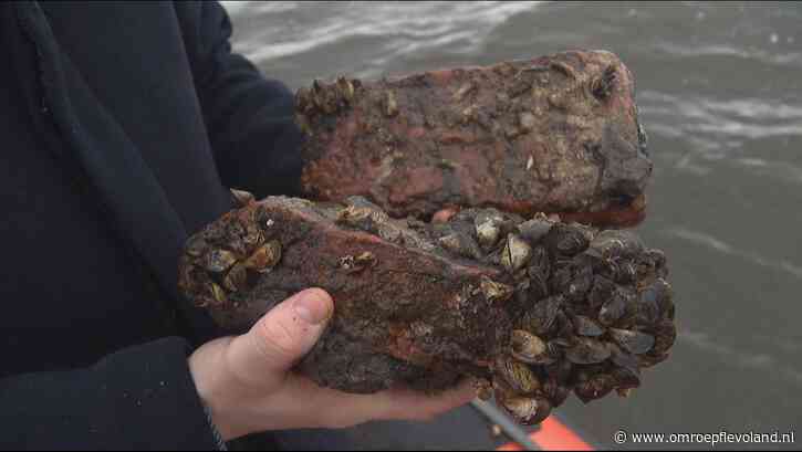 Zeewolde - Vergeten middeleeuws kasteel in beeld gebracht in meer bij Zeewolde
