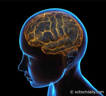 Do You Remember When…? New Research Challenges Traditional Model of Memory