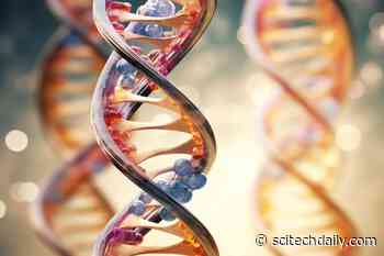 Scientists Have Discovered Strange DNA in Our Brains – and It Could Be Shortening Our Lives