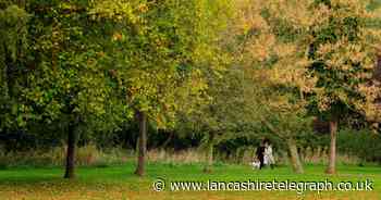 Study finds a fifth of homes in this borough do not have green space access