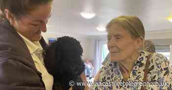 International Dog Day: How therapy dog Boris brightens up care home