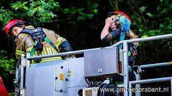 112-nieuws: ontsnapte ara veroorzaakt commotie • gewonde bij ruzie