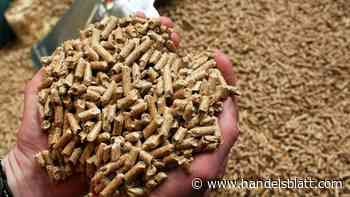 Heizungen : Was Sie jetzt über Pelletheizungen wissen müssen