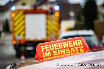 Fisch brennt an: Mehrere Löschgruppen rücken aus