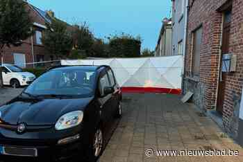 Burenruzie om parkeerplaats loopt fataal af: verdachte (61) schoot ook naar zoon (15) van dodelijk slachtoffer en bedreigde echtgenote en overbuur