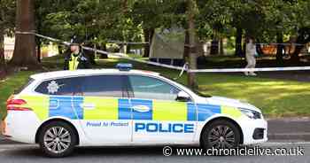Two arrested on suspicion of murder after man, 54, found dead in Gateshead park
